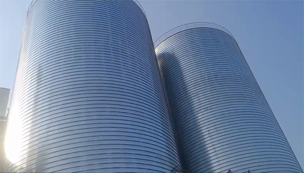 邦溪镇2座混凝土高架卷板仓